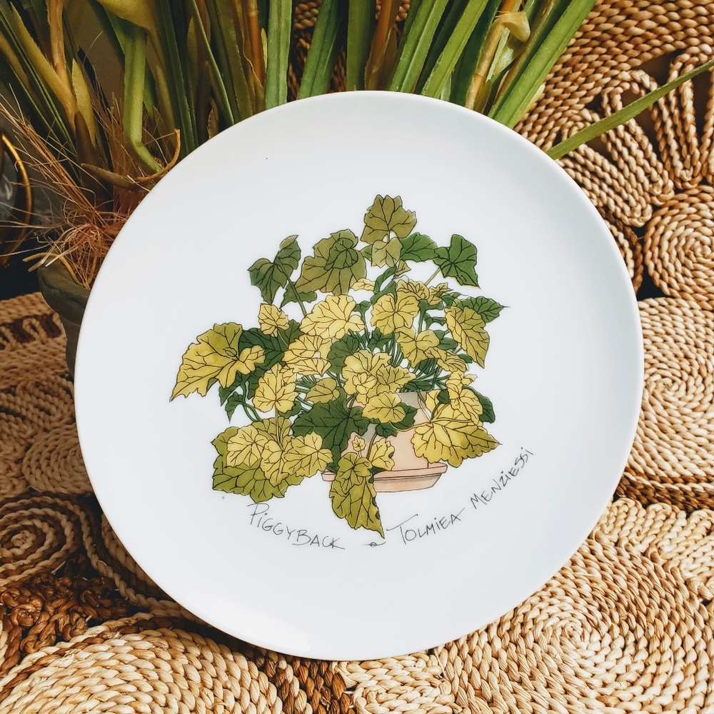 Enesco | Vintage Plant Study 1975 houseplant plate - Picture 6 of 8